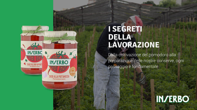 Lavorazione: dalla maturazione dei pomodori al vasetto