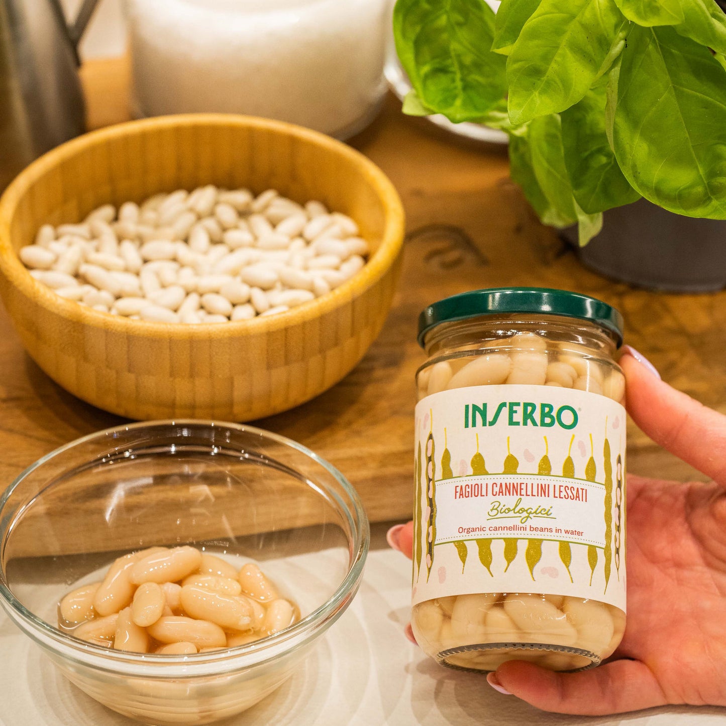 Fagioli Cannellini biologici